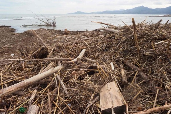 Sube a 13 cifra de muertos por paso de tormenta Gloria en España (FOTOS)