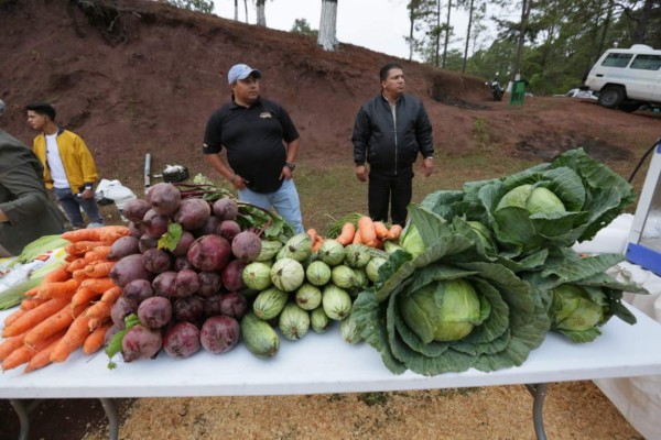 FOTOS: Las delicias gastronómicas que se disfrutan en la ruta de los valles y las montañas
