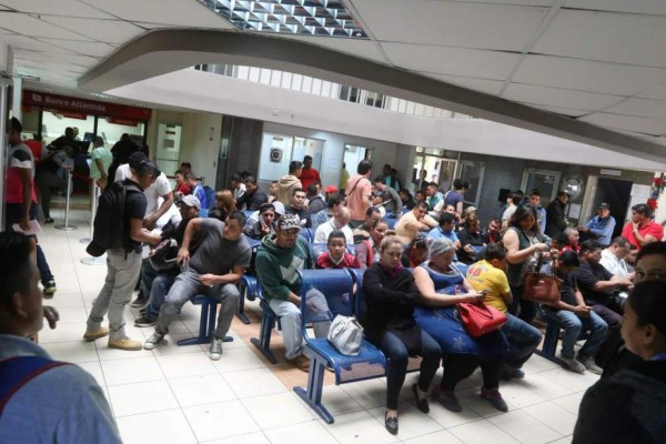 Emitirán licencias durante esta semana en la capital