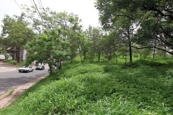 Con lotificación de áreas verdes regulan venta ilegal de predios