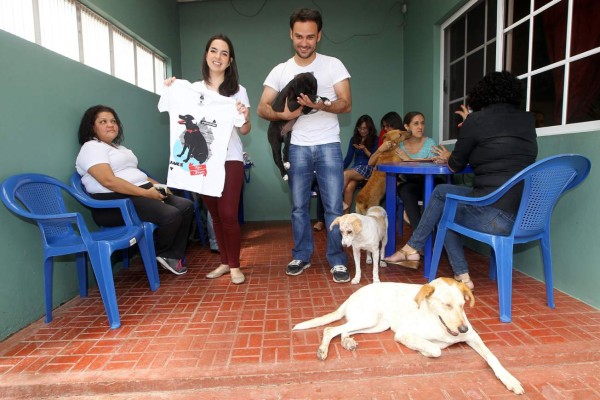 Cachorros en busca de hogar