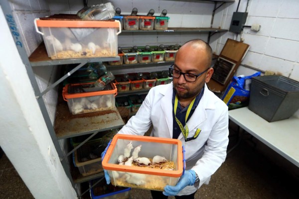 Universitarios retoman estudios con especies criadas en laboratorio