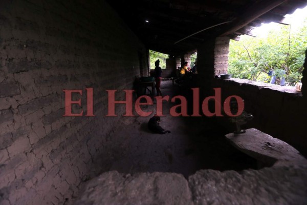 Solidaridad y respuesta para atender a niños hondureños de la frontera