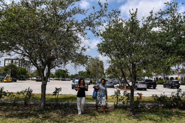FOTOS: El calvario de dos trotamudos varados en Florida por el Covid-19