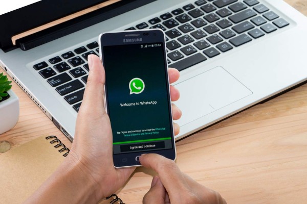 Conozca WhatsApp for Business, la nueva variante de la app de mensajería