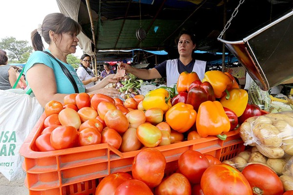 Un recorrido por la Feria del Agricultor y el Artesano