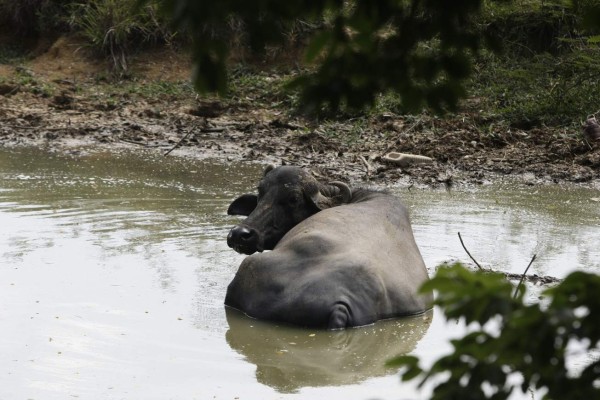 Iguana’s Water Park, un paraíso terrenal