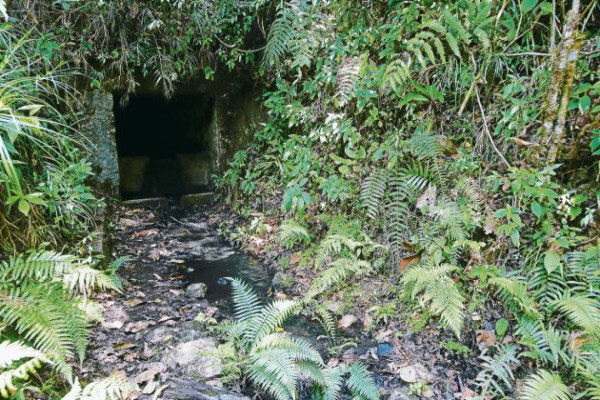 Un recorrido al natural en Valle de Ángeles