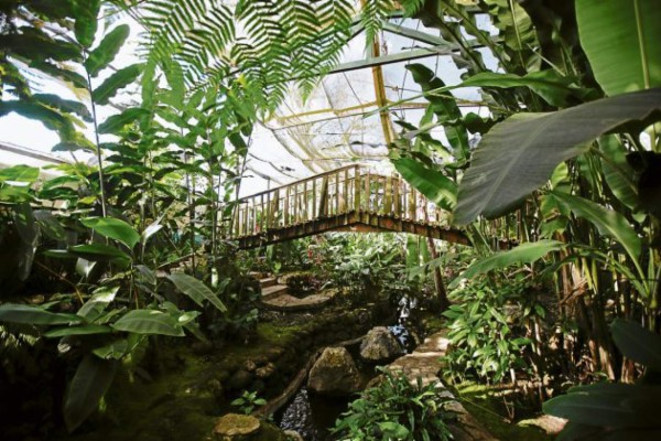 Un viaje al mundo de las mariposas