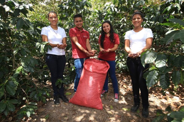 Los jóvenes y sus familias se dedican a la cosecha de café, esta es su única fuente de ingresos. La organización les apoya para que el producto pueda ser comprado en Estados Unidos. Foto: Marvin Salgado / El Heraldo.