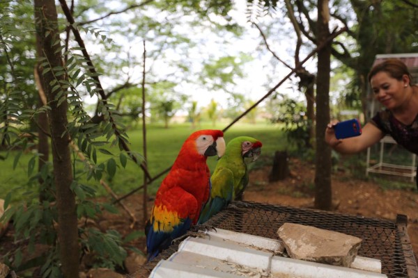 Iguana’s Water Park, un paraíso terrenal