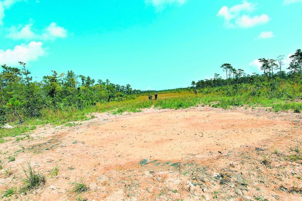 Honduras: Narcotraficantes desafían a la Fuerza de Tarea Conjunta