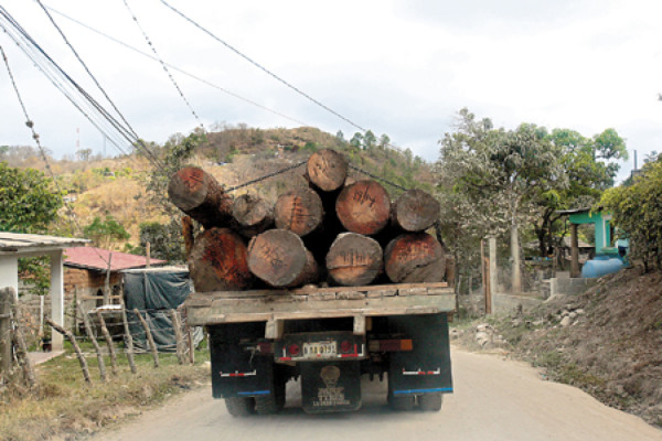 El Cerro Upare conmemora hoy a sus nueve héroes