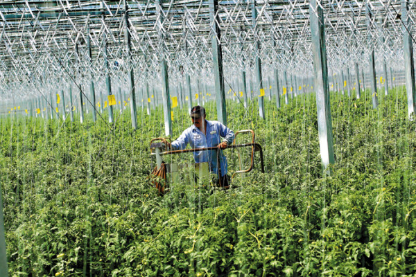 Parlamento canadiense endurece leyes migratorias