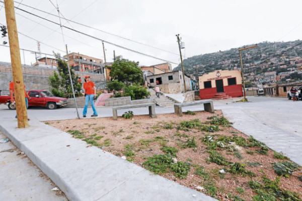 Modernidad y desarrollo en dos colonias capitalinas