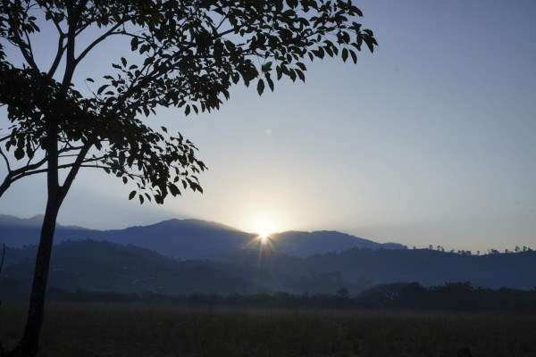 Panacoma, la joya forestal del departamento de Comayagua