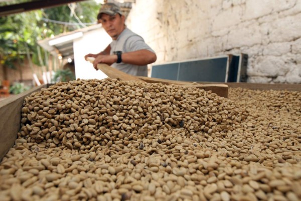 Tierra Adentro: El Paraíso, destino que embellece a Honduras