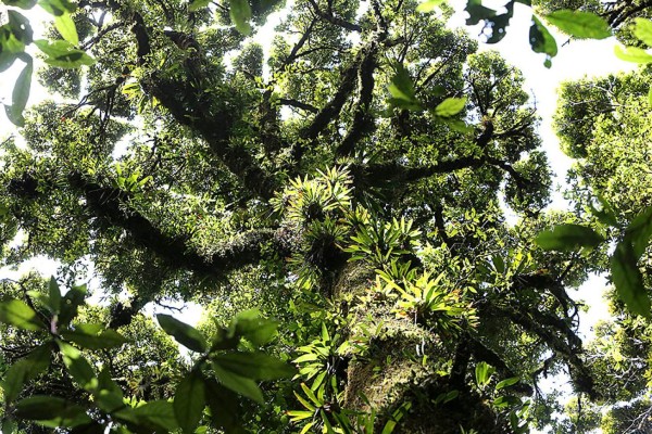 Las Fotos de la Semana en ElHeraldo.hn