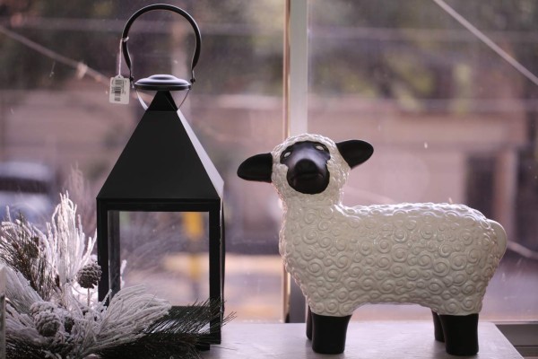 ¡Se escaparon los animales de Santa!