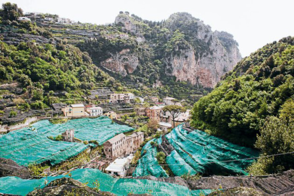 Un negocio de limonares en el corazón de Italia