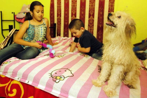 ¿Deberían o no dormir juntitos?