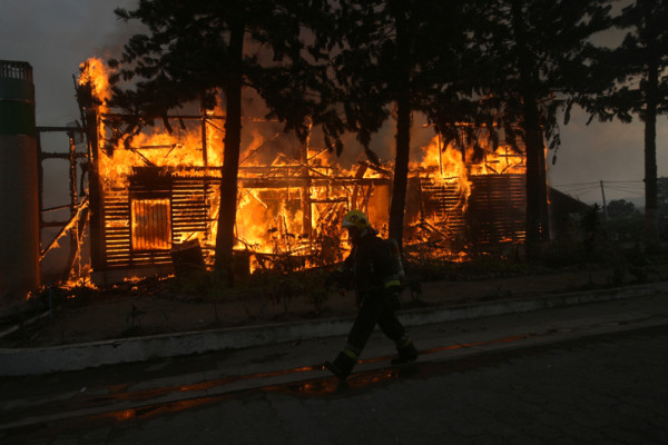 Voraz incendio reduce a cenizas del Instituto de Conservación Forestal