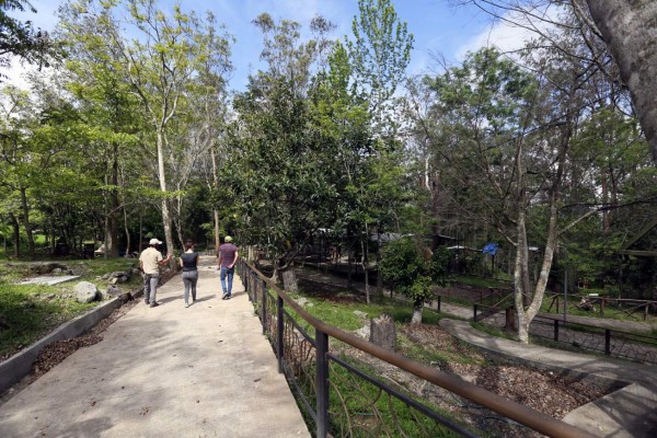 Disminuye estrés de residentes del Rossy Walther