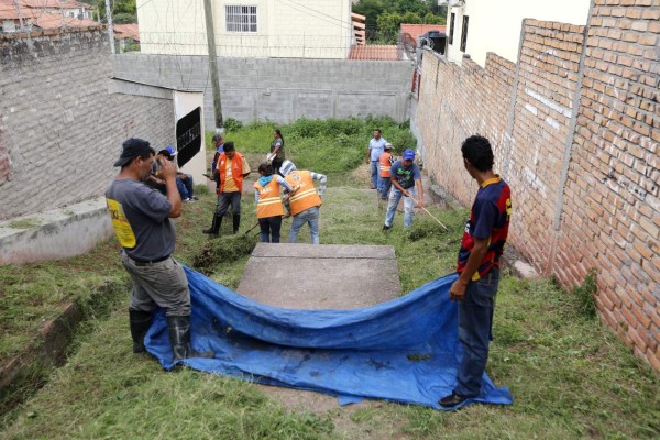 Asidua lucha contra el vector Aedes aegypti