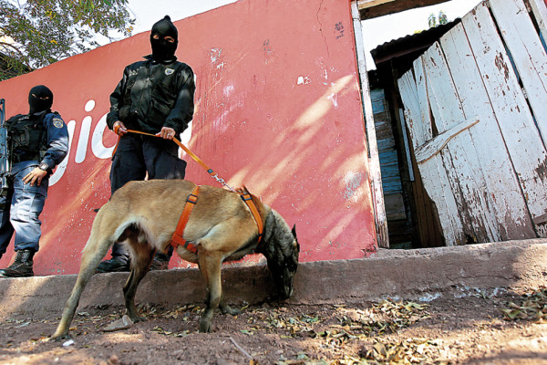 Realizan allanamientos en colonia San Miguel
