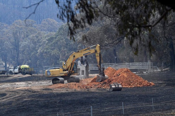 ¡Imágenes que duelen! Incendios siguen arrasando con bosques y animales de Australia