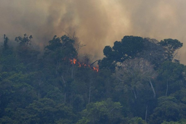 Las impactantes fotos de los desastres que deja el incendio en Amazonia