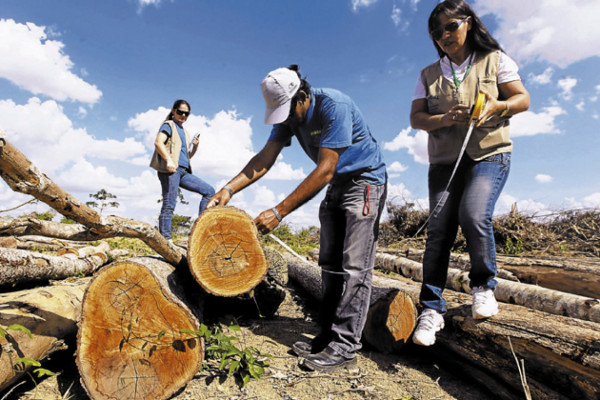 Pionero de las ciudades verdes
