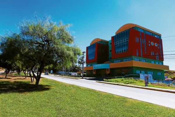 Coacehl apoya la cultura nacional