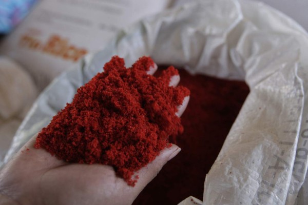 Semana Santa: Comienzan preparativos para las alfombras de aserrín