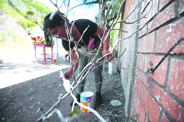 Árbol de ramas secas, tradición que sobrevive