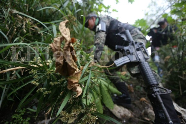 Hallan dos cadáveres a solo horas de diferencia en sector de 'La Guasalona'