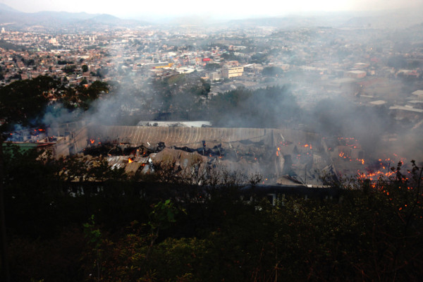 Voraz incendio reduce a cenizas del Instituto de Conservación Forestal