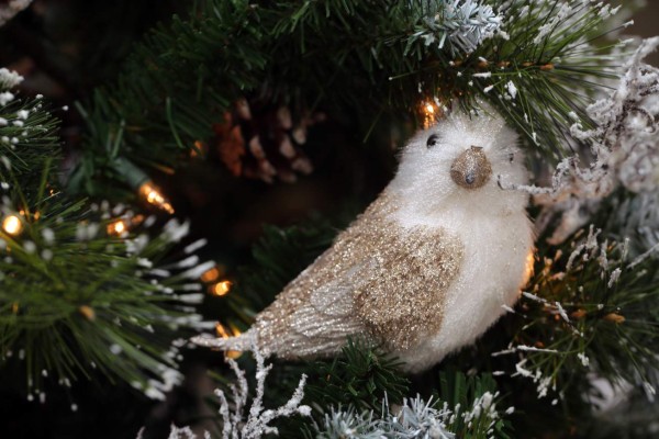 ¡Se escaparon los animales de Santa!