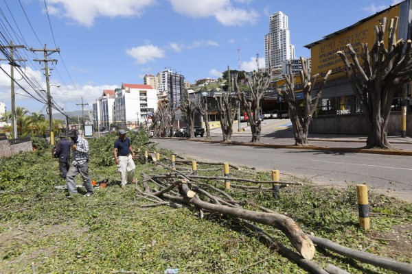 Vecinos molestos por cortes