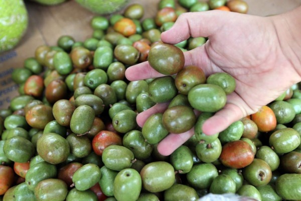 Los productos que no pueden faltar en vacaciones de Semana Santa