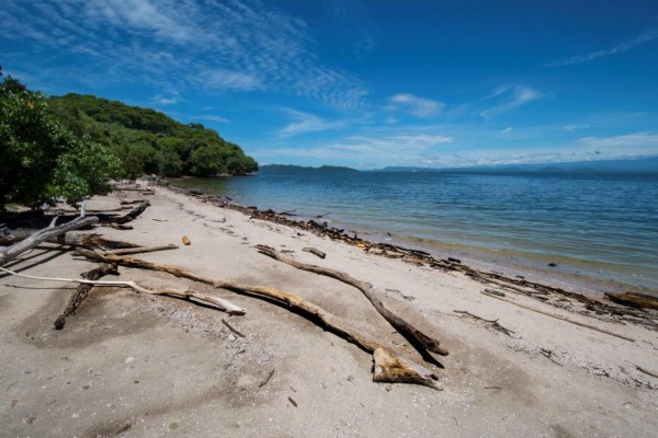 Maltrato, hambre y abusos sexuales, la oscura historia de la isla de los hombres solos (FOTOS)  