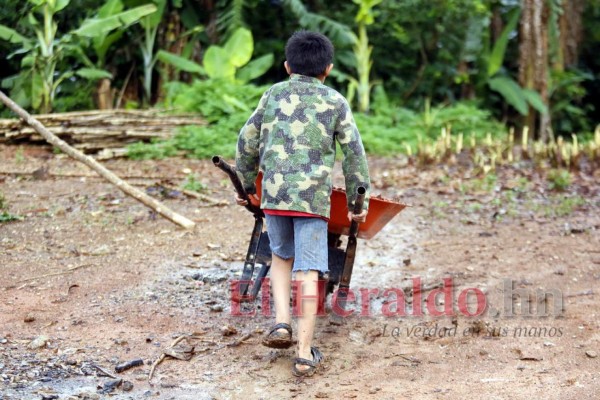 Proponen fortalecer entes en favor de la niñez hondureña