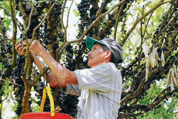 Jardín Botánico Rittenhouse: un paseo por la naturaleza