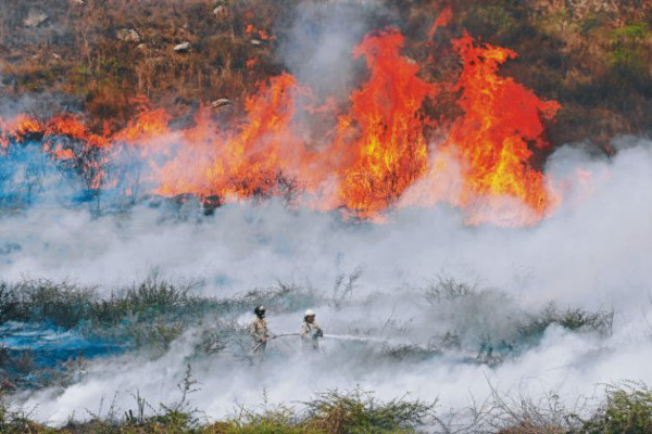 Devastación de cuencas ya pasa factura a Tegucigalpa
