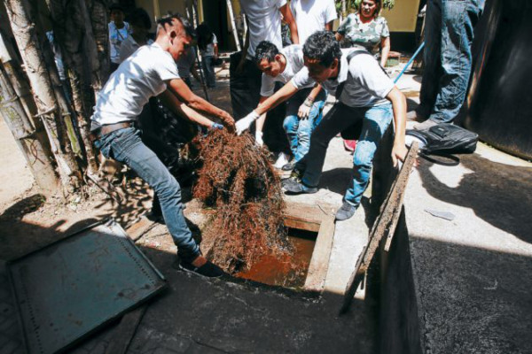 Crean un escudo protector contra el dengue en San Felipe