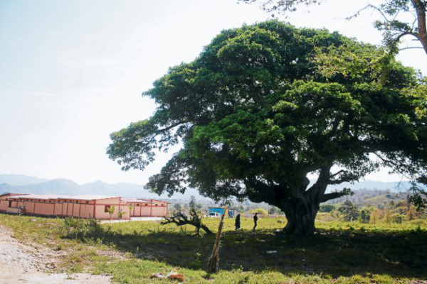 Padre Castriotti dice adiós a El Paraíso