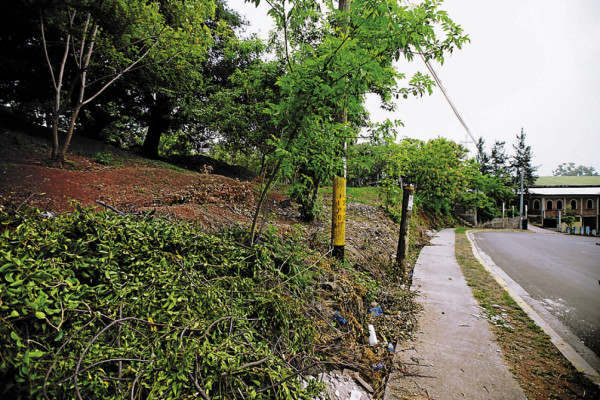 Inicia inventario y legalización de áreas verdes comunales