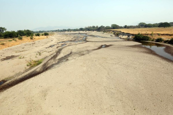 Honduras: Con desesperación, pobladores luchan contra sequía
