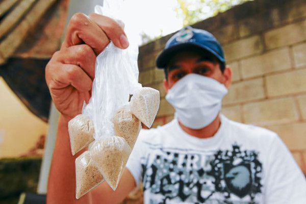Retoman fumigaciones en los barrios y colonias de Tegucigalpa