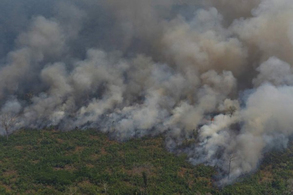 Las impactantes fotos de los desastres que deja el incendio en Amazonia